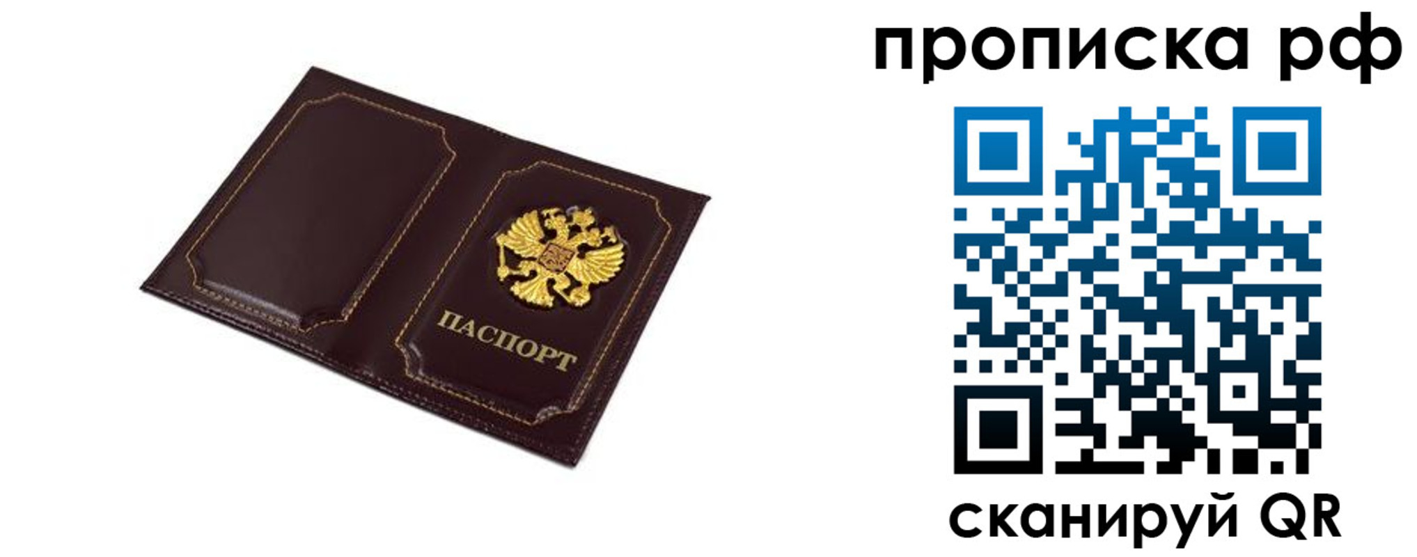 прописка для школы в Ельце
